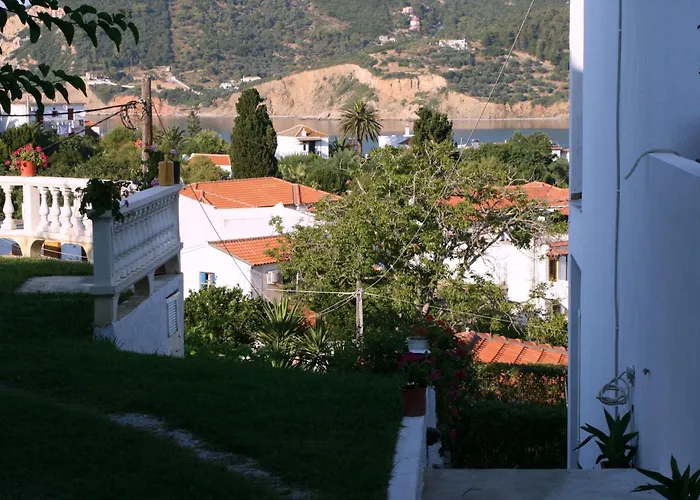 Guest house Albatros 3*